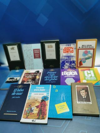 14 libros juveniles en buen estado