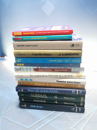 14 libros juveniles en buen estado