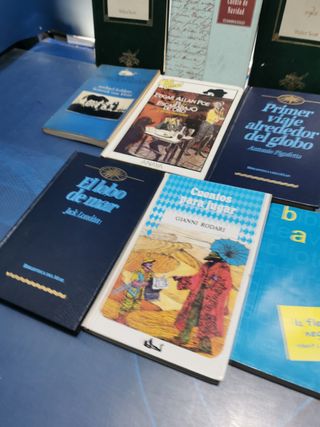14 libros juveniles en buen estado