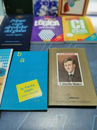 14 libros juveniles en buen estado