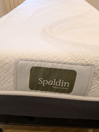 Cama articulada eléctrica + colchón Spaldin