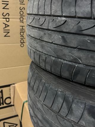 Ruedas Bridgestone Potenza 225/45 R17