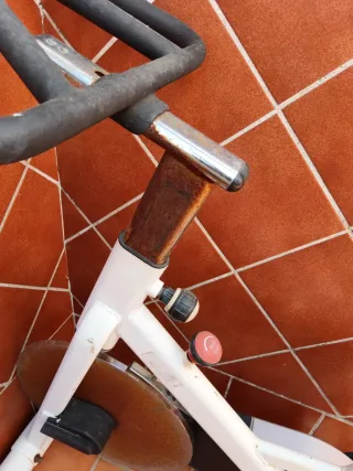 Bicicleta Estática Blanca