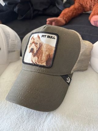 Gorras Varias Marcas Originales