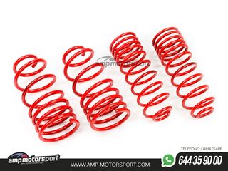 MUELLES DEPORTIVOS MTS TECHNIK MTSXLA009