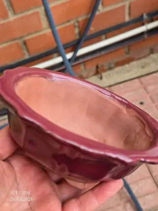 Maceta bonsai cerámica morada