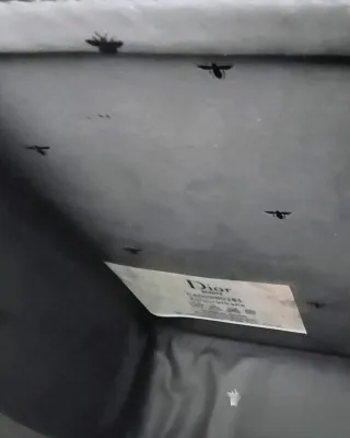 Pochette Dior Nera con Ape