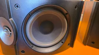 Pareja Altavoces Bose 301V