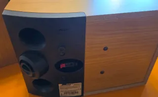 Pareja Altavoces Bose 301V