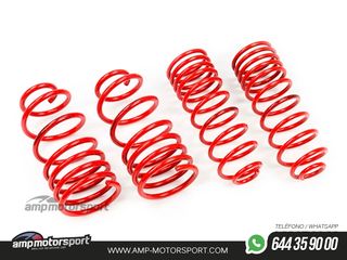 MUELLES DEPORTIVOS MTS TECHNIK MTSXLA003