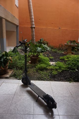 Patinete Eléctrico Xiaomi