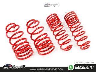 MUELLES DEPORTIVOS MTS TECHNIK MTSXFO081