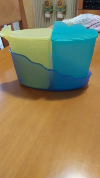 Set 2 Contenitori Tupperware con Base