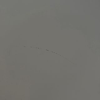 Cómoda blanca IKEA (4 cajones)