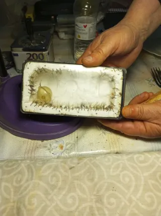 Moscas de pesca seleccionadas