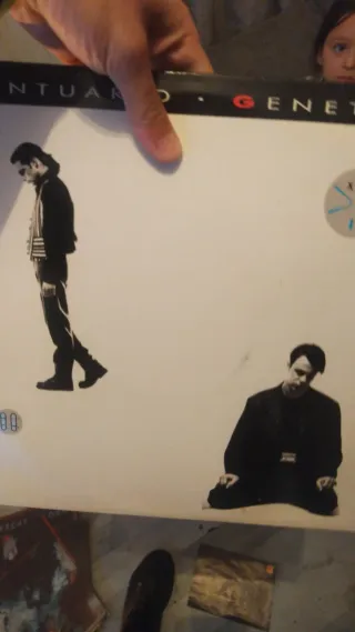 Lote Vinilos Pop Rock Internacional y Nacional