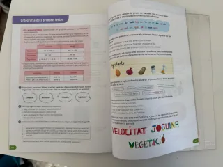 Llengua catalana i Literatura. 6 Primària. Revola