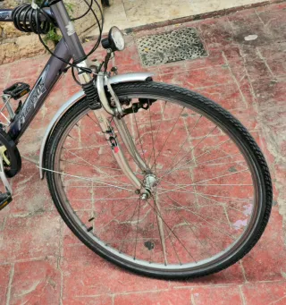 Bicicleta Pegasus 28 GERMANY