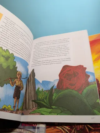 Lote 13 libros novela juvenil Público