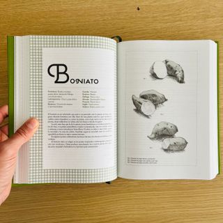 1460 recetas para disfrutar las verduras todo e...