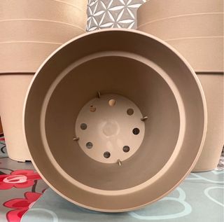 Macetas Plástico Blim Color Beige 9Cm