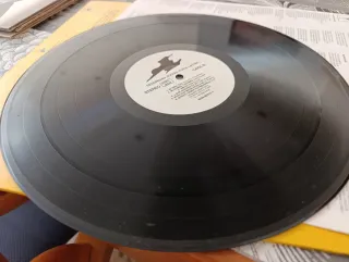 Seguridad Social - Furia Latina Vinilo