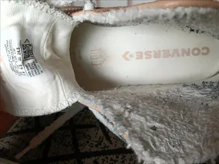 Converse Chuck Taylor All Star Rosa