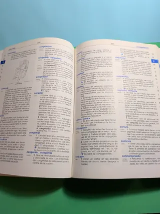 Diccionario de primaria de la lengua espanola /...