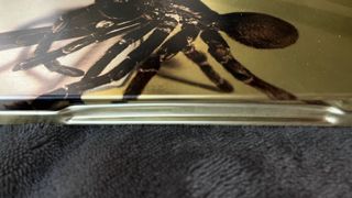 DVD Edición Especial El Increíble Hombre Menguante