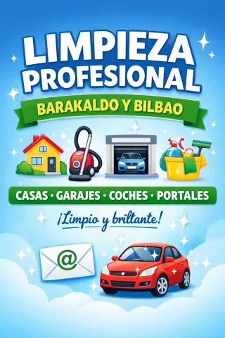 Limpieza profesional