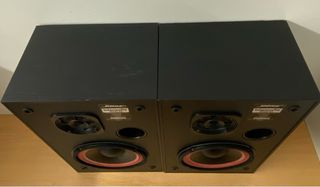 Altavoces Bose Interaudio 3000 XL