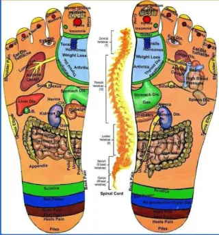 Intercambio de Reflexología masaje