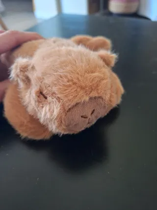 Peluche Capibara Nuevo