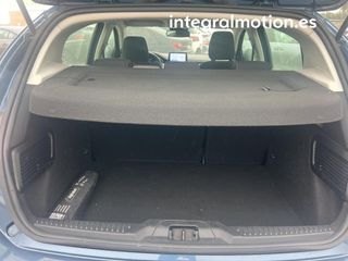 Ford Focus 1.0 Ecoboost MHEV 92kW Trend+