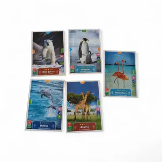 Carte Kinder 3D Animali (Orso, Pinguino, Delfino,