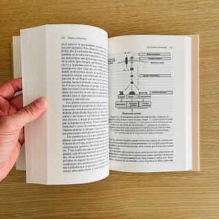 Homo climaticus el clima nos hizo humanos