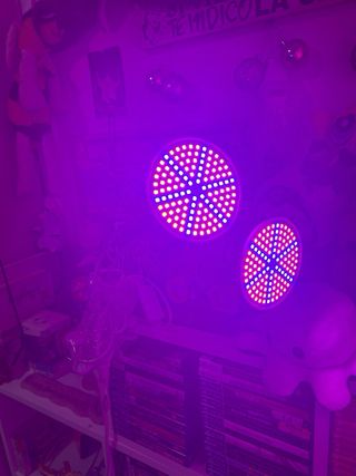 Lámpara doble para plantas con bombillas incluidas