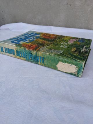 Libro Piante e Fiori Bianchini Fabbri Vintage anni