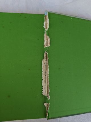 Libro Piante e Fiori Bianchini Fabbri Vintage anni