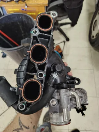 Colector de admisión