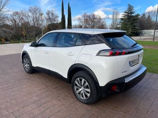 Peugeot 2008 2021