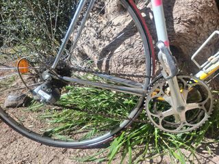 Bicicleta carretera D. Moser
