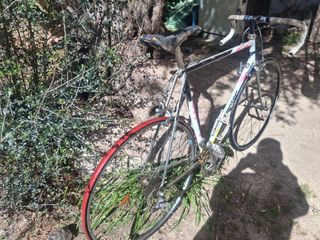 Bicicleta carretera D. Moser