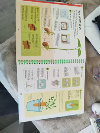 365 Science Activities (365 Activities)