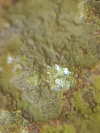 Montgomeryita e Hidroxilapatito Mineral