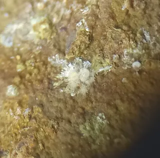 Montgomeryita e Hidroxilapatito Mineral