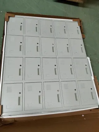 Armario Taquilla metálica 20 compartimentos ROBERT