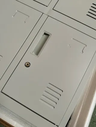 Armario Taquilla metálica 20 compartimentos ROBERT