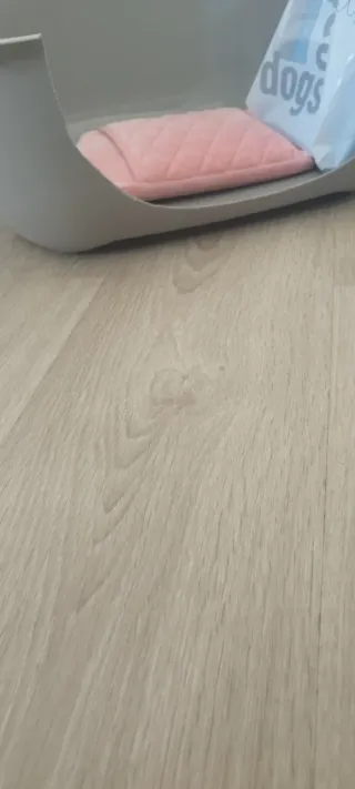 Arenero para animales pequeño y bolsa agua calient