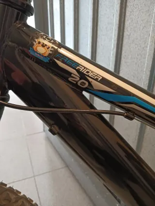 Bicicleta infantil 20 pulgadas